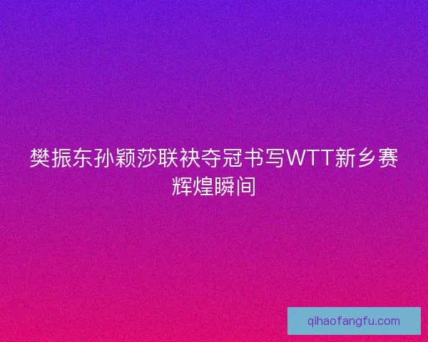 樊振东孙颖莎联袂夺冠书写WTT新乡赛辉煌瞬间