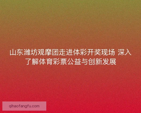 山东潍坊观摩团走进体彩开奖现场 深入了解体育彩票公益与创新发展